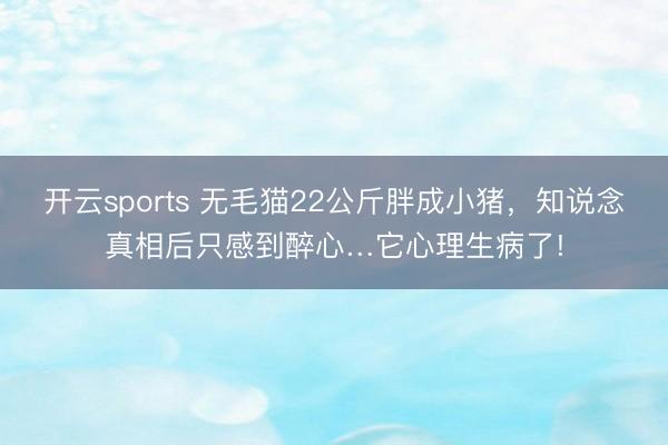 开云sports 无毛猫22公斤胖成小猪，知说念真相后只感到醉心…它心理生病了!