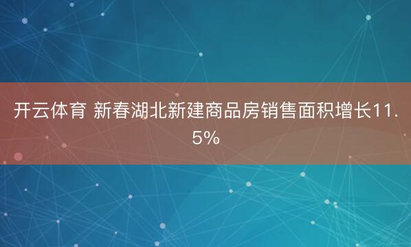 开云体育 新春湖北新建商品房销售面积增长11.5%