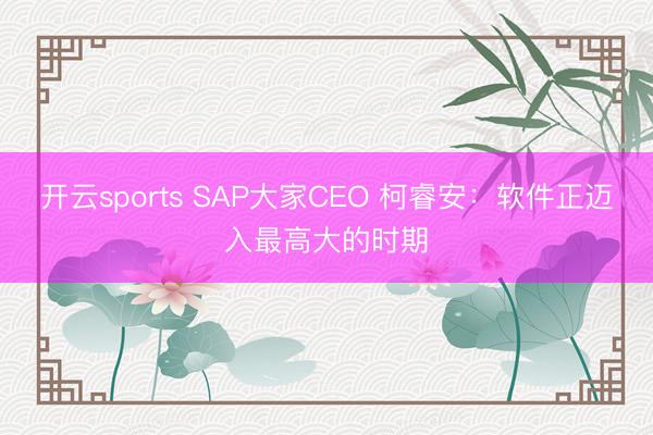 开云sports SAP大家CEO 柯睿安:软件正迈入最高大的时期