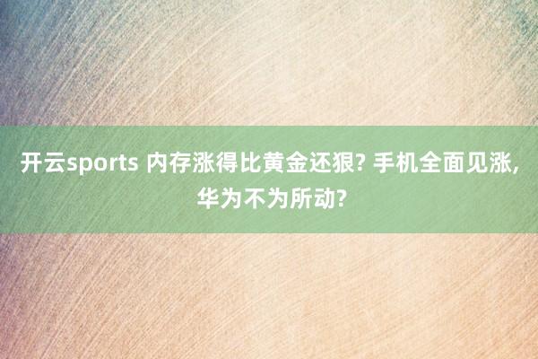 开云sports 内存涨得比黄金还狠? 手机全面见涨， 华为不为所动?