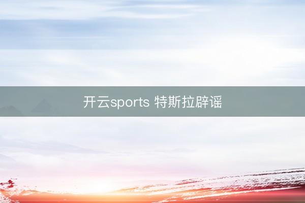 开云sports 特斯拉辟谣