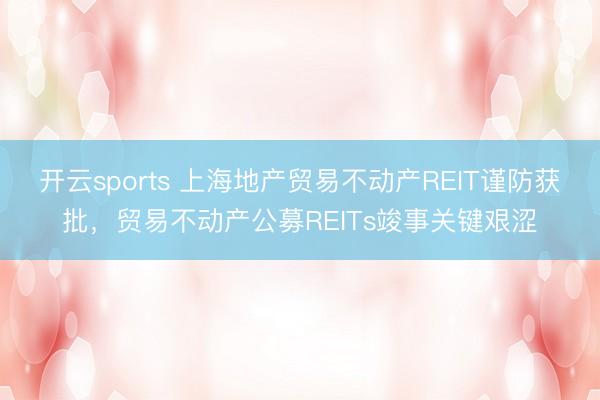 开云sports 上海地产贸易不动产REIT谨防获批，贸易不动产公募REITs竣事关键艰涩